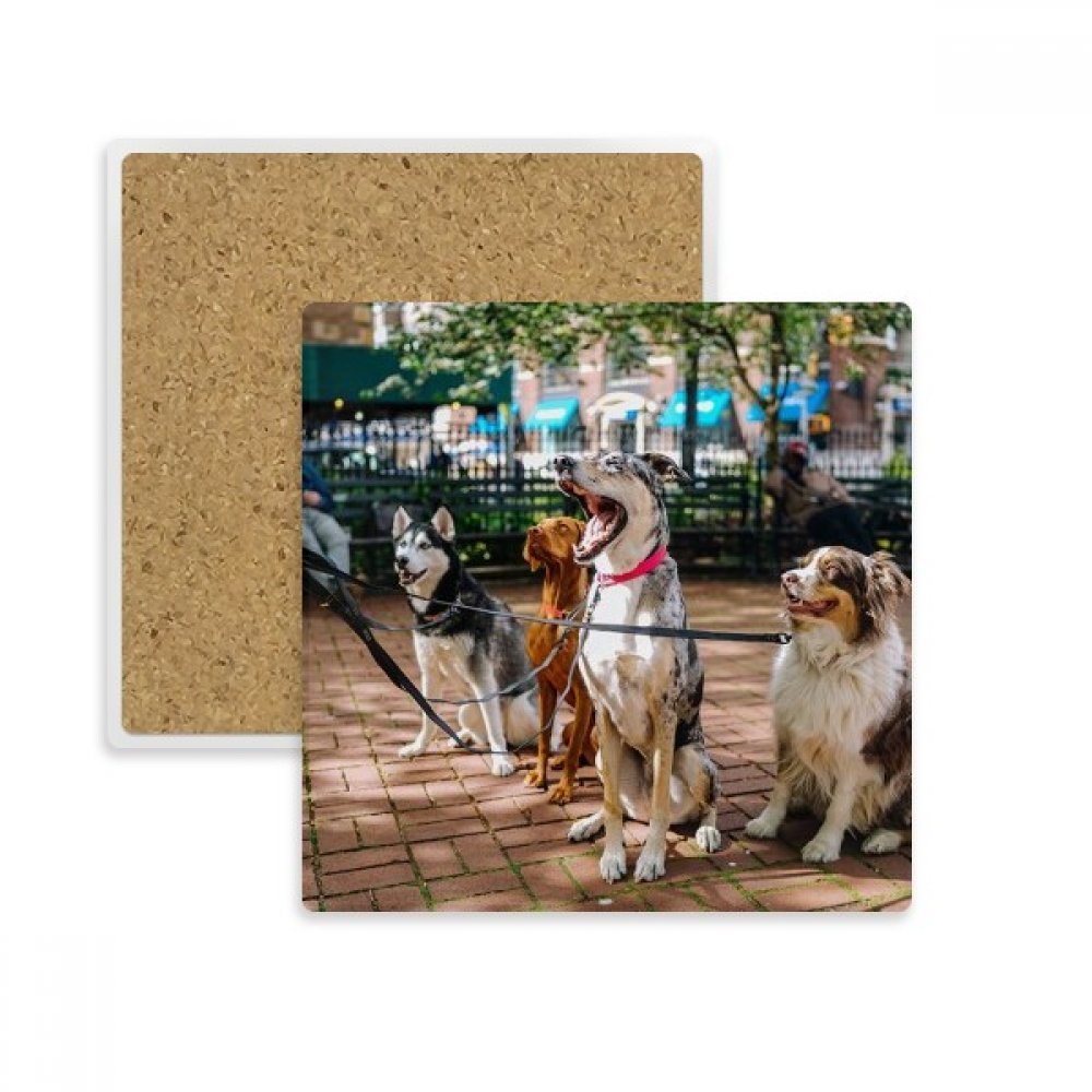 Pierre absorbante cadeau pour amoureux de chiens dessous de verre photo animaux original