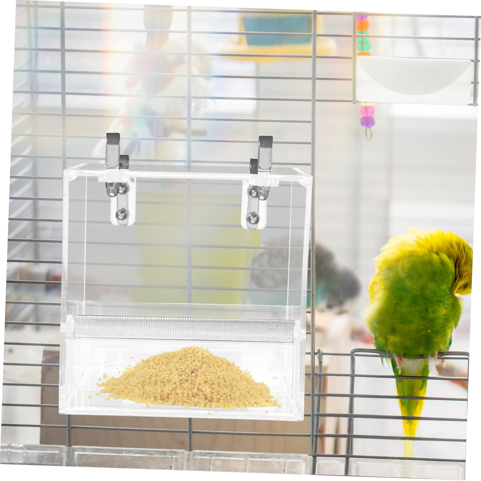 Toddmomy Mangiatoia Automatica per Uccelli per Animali Domestici Ciotola per Bere e Pappagalli e Uccelli Facile da Installare