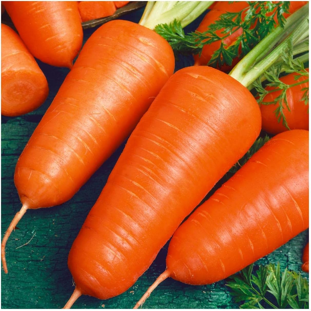 Everwilde Farms - 1 Lb Organic Chantenay Red Cored Carrot Seeds - Gold Vault Packet