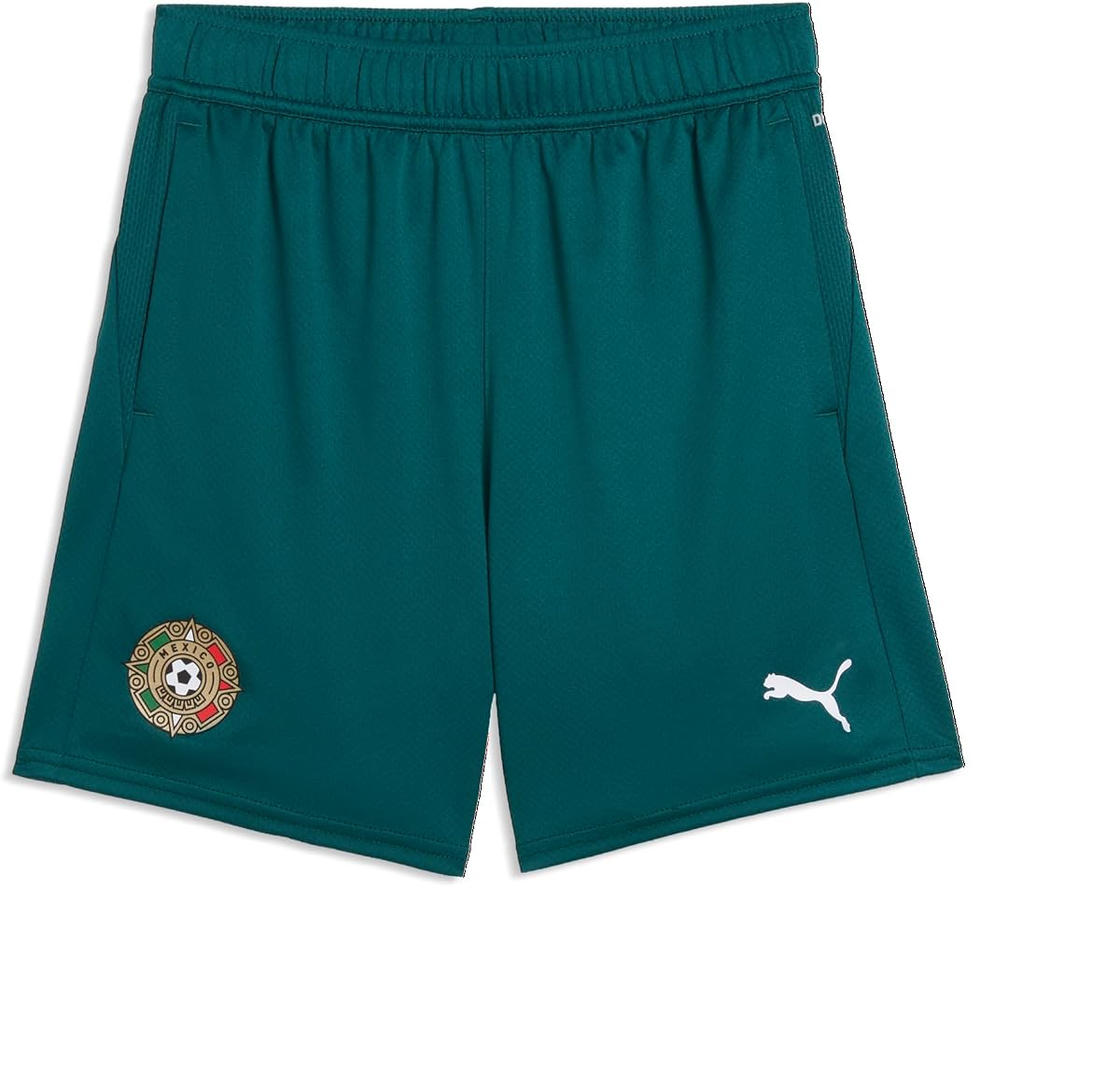 Boys Fanpack Training Shorts