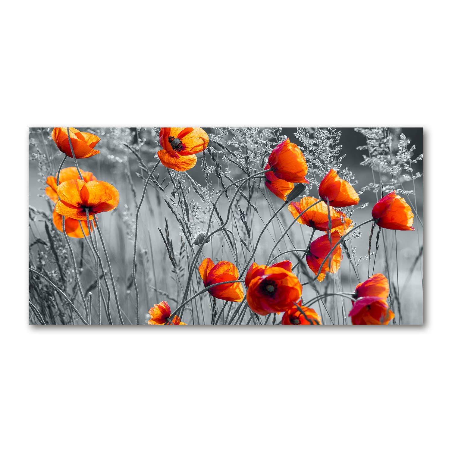 Déco mural en verre acrylique de 120x60cm pour illuminer votre chambre de coquelicots