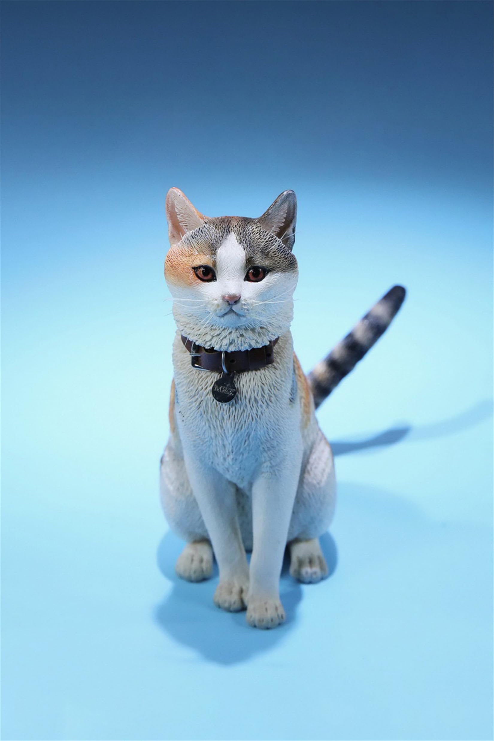 Amazon | Mr.Z 1/6 サイズ 猫 可愛い 家猫 動物 リアル フィギュア PVC 