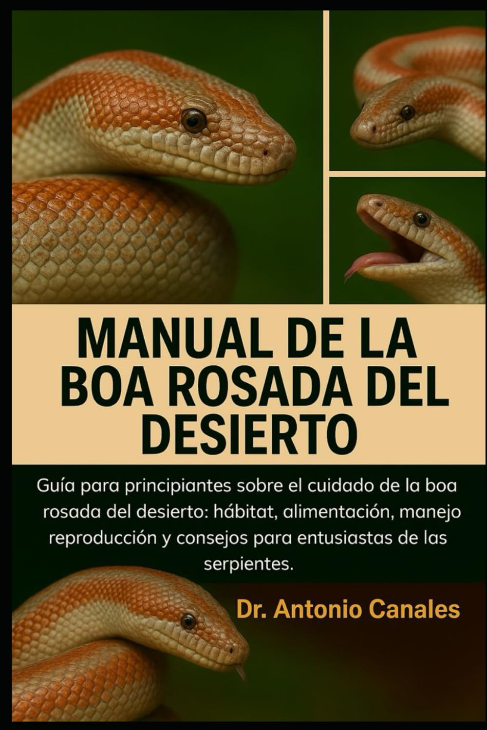 MANUAL DE LA BOA ROSADA DEL DESIERTO: Guía para principiantes sobre el cuidado de la boa rosada del desierto: hábitat, alimentación, manejo, reproducción y consejos para entusiastas de las serpientes