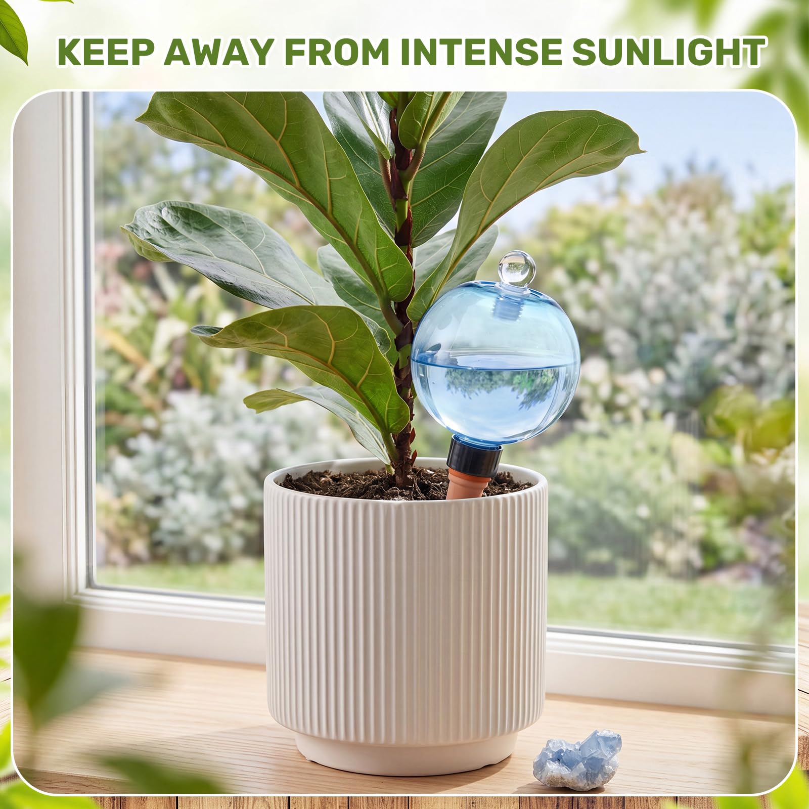 Selbstbewässernde Kugeln für Pflanzen mit Abdeckung, Kunststoff-Pflanzenbewässerungsbirnen, automatische Pflanzgefäß-Bewässerung für Innen- und Außenbereich, Topfpflanzen, langsame Freisetzung