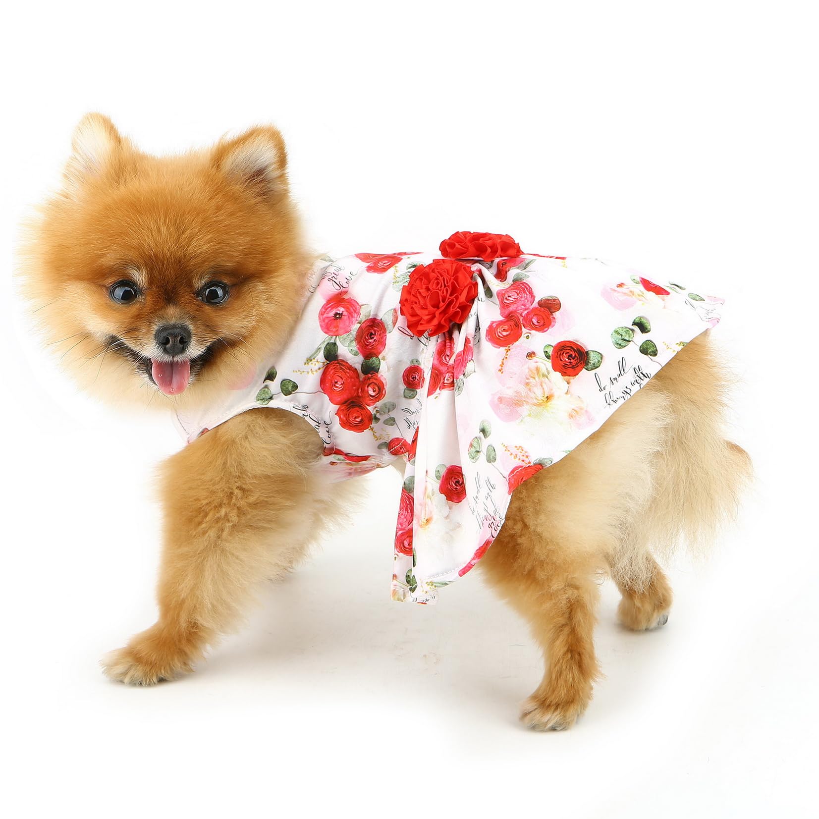 SMALLLEE_LUCKY_STORE Dog Dress for Small Dog Girls Princess Pet Skirts with Red Rose and Flowers Puppy Clothes Birthday Holiday Valentine Wedding Chihuahua Cat Apparel, Red Rose, S