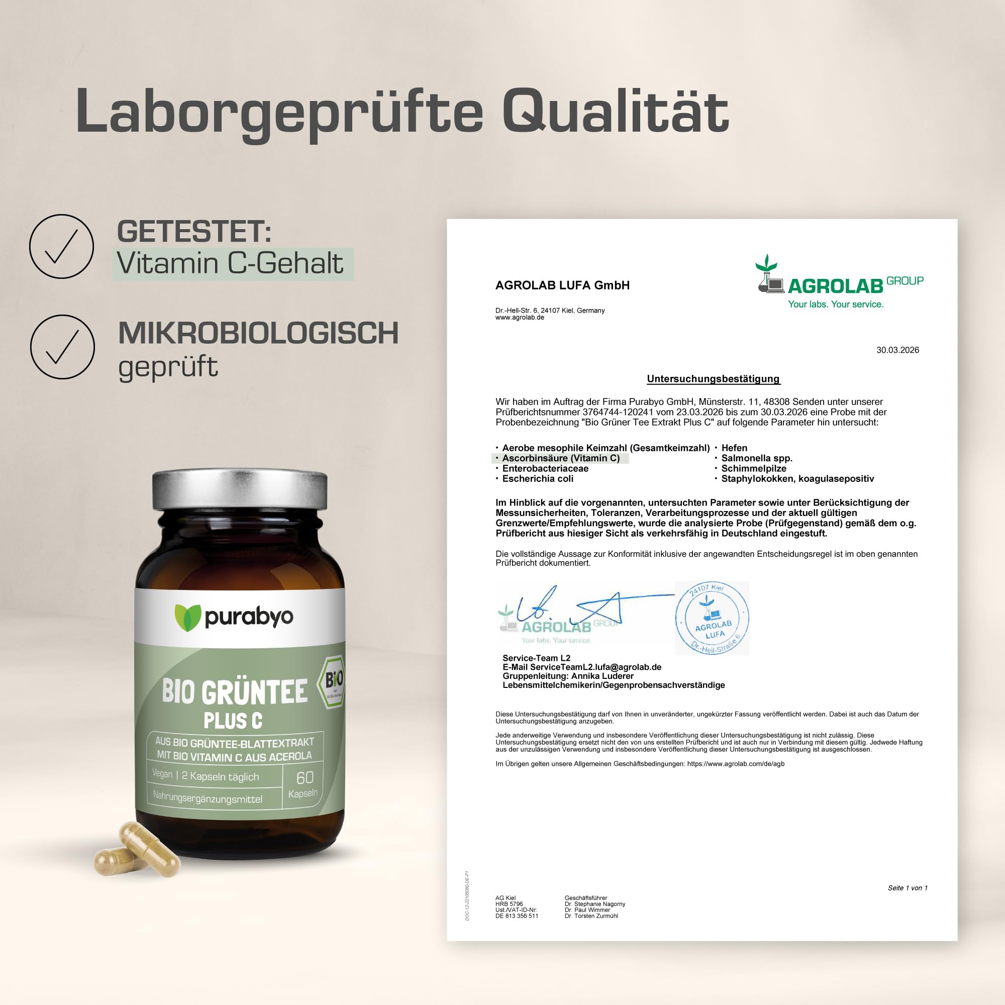 Purabyo BIO Grüntee Plus C | im Glas | Grüntee Extrakt mit 25% Polyphenolen | mit Bio Acerola C | Natürlicher EGCG Gehalt | vegan, laborgeprüft und in Deutschland hergestellt