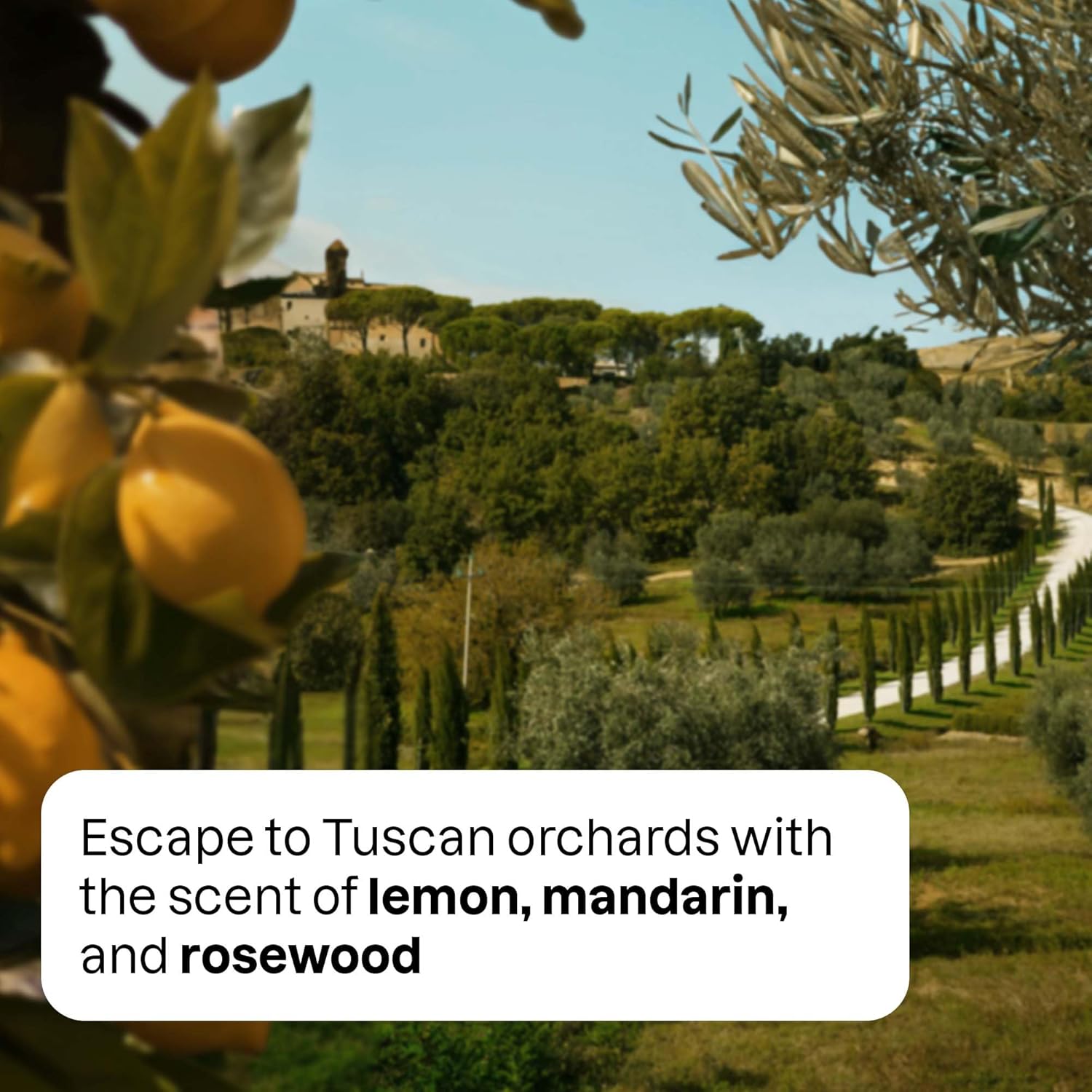 Bundle of ATTITUDE Scented Room and Air Freshner Spray, for Home and Bathroom, Natural Origin Ingredients, Vegan, in three scents, Japanese Garden, Santorini Bliss & Tuscan Getaway, 8 Fl Oz