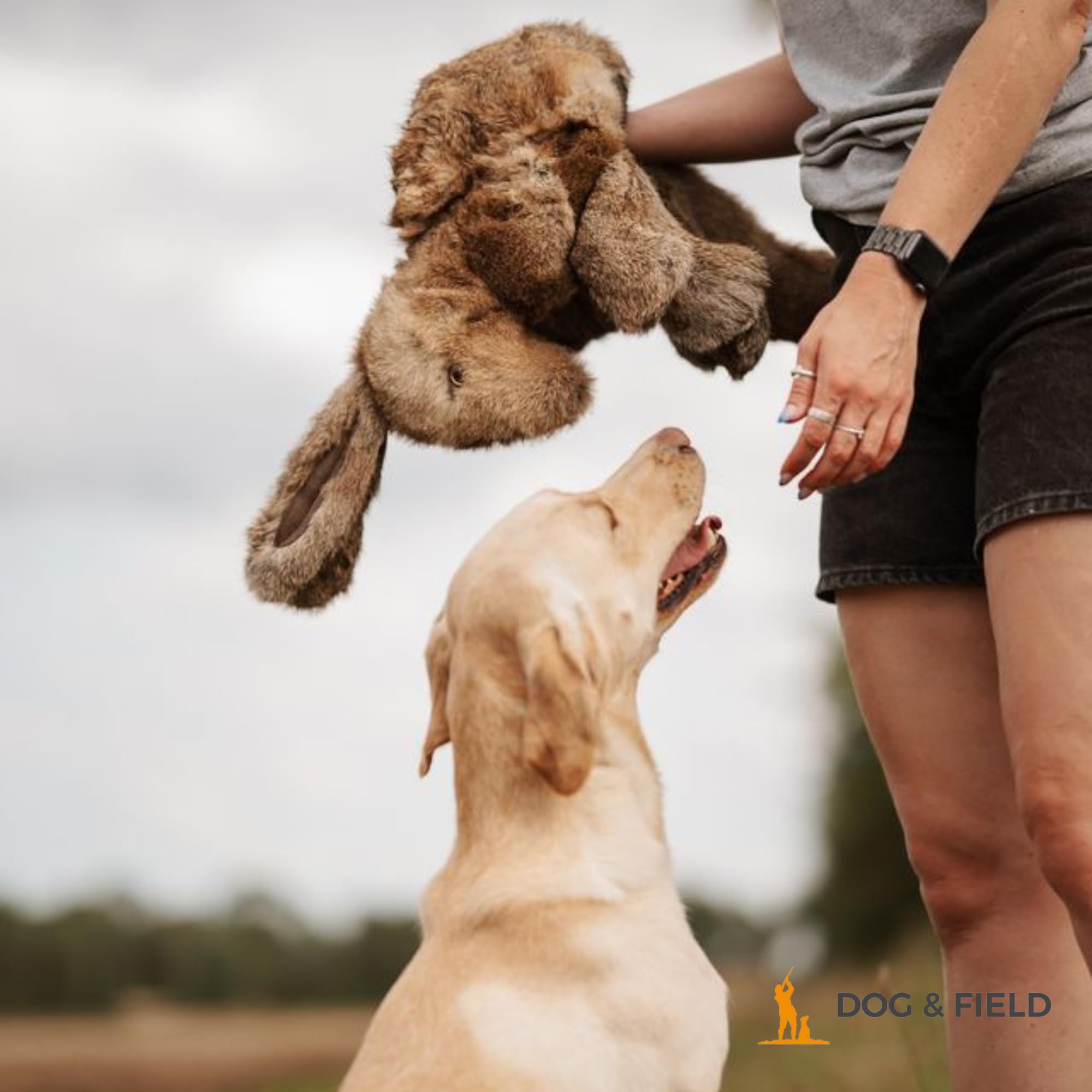 Dog & Field Manichino in finta pelliccia di coniglio, realistico, peso 0,5 kg, corpo flessibile e arti floppy, per addestramento cani da pistola e cuccioli (0,5 kg)
