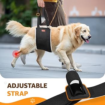 Dotoner Dog Lifting Harness - Soft Support Sling For Injured/Disabled