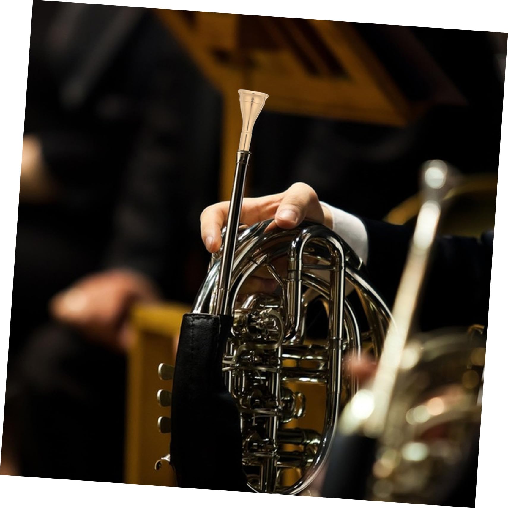 BESTonZON Bocchino per Corno Francese in Metallo Oro e Argento, Accessorio di Sostituzione 2 Pezzi per Concerti Professionali e Pratica Musicale