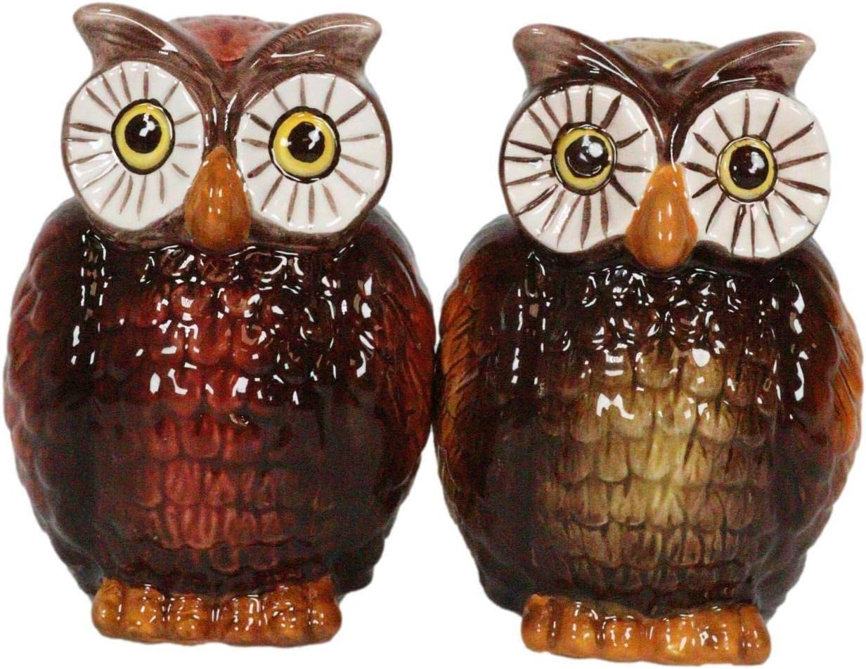 Set Of 1 Owl Couple Ceramic Salt Pepper Shakers Figurines