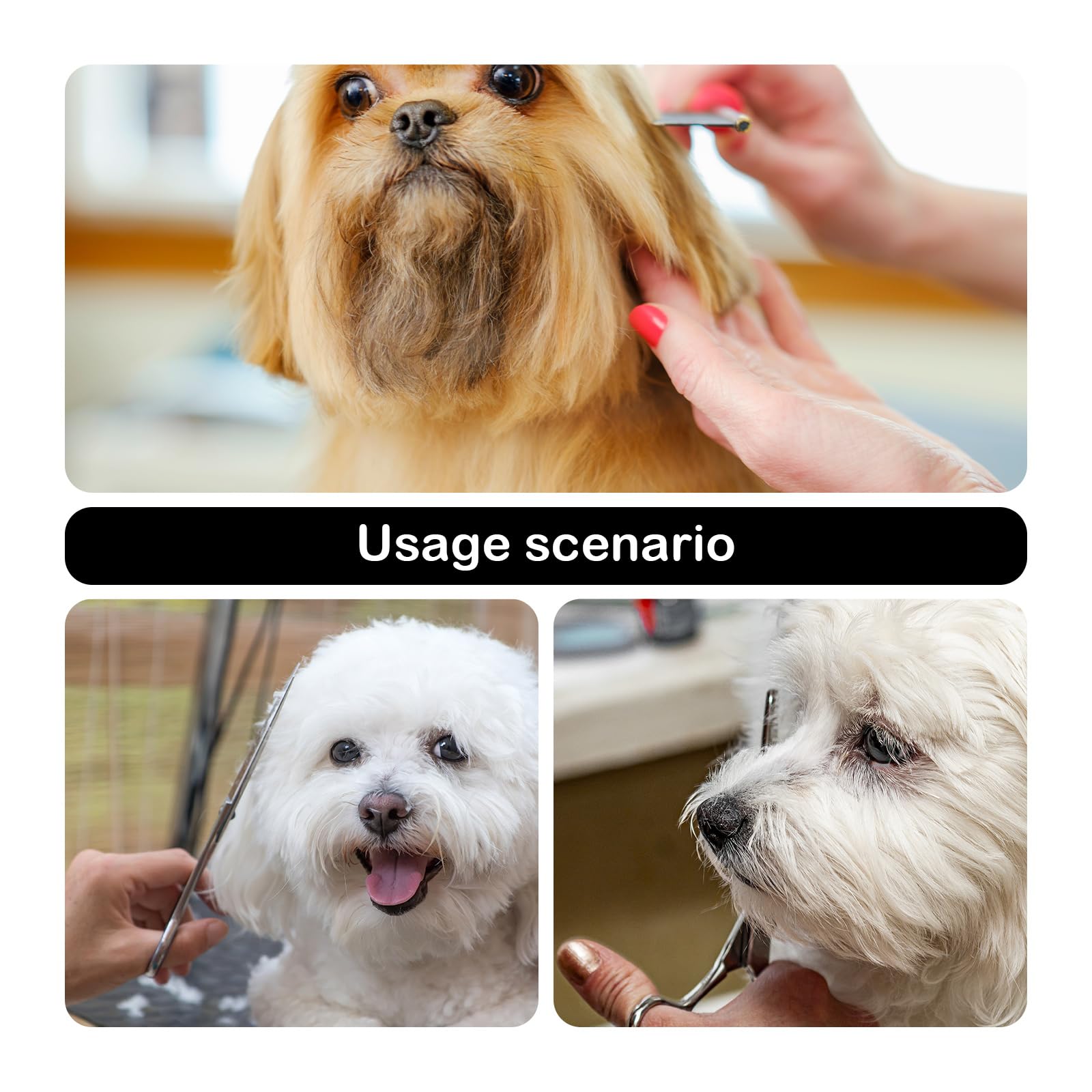 3er-Pack Hundeschere,Gebogene Hundepflegeschere,Edelstahl Hundeschere Gebogen,Effilierschere Hund,Schere Hundehaare Schneiden,Geeignet FüR Hunde,Katzen Und Haustiere,Mit Haarschneideschere Blau,3 In 1