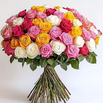 GlobalRose Fresh Cut Assorted Roses - 100 Roses 4 Bundles of 25 Fresh Bouquet for Mothers Day, Birthday, Anniversary, or Home Decor - Flowers Delivery Gift