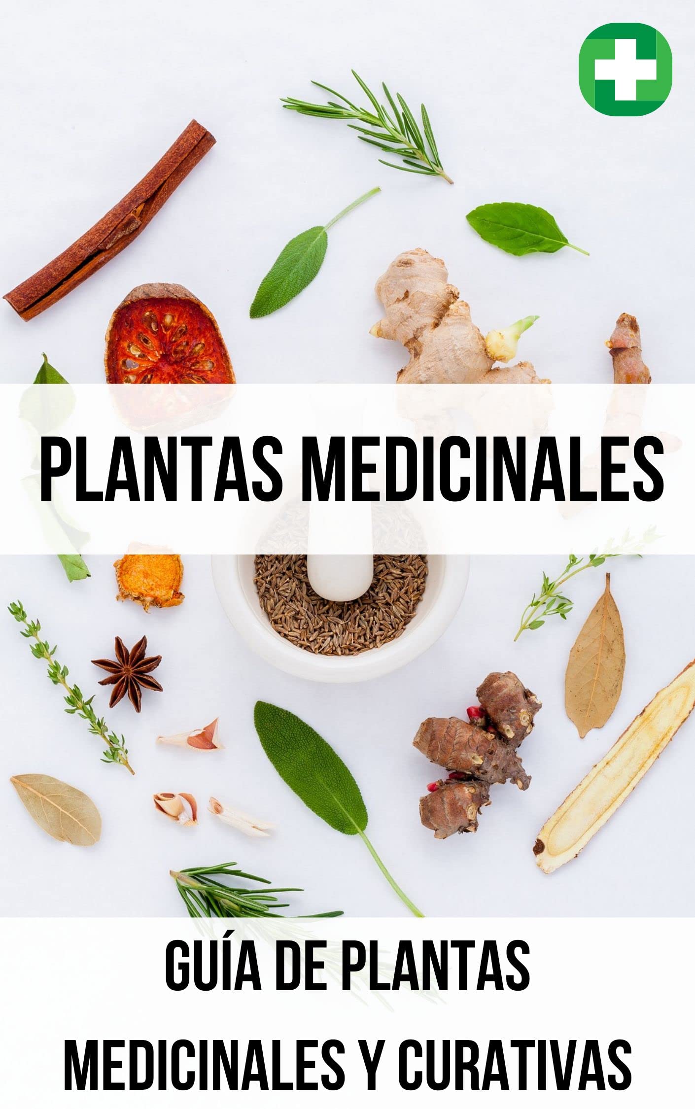 Plantas Medicinales