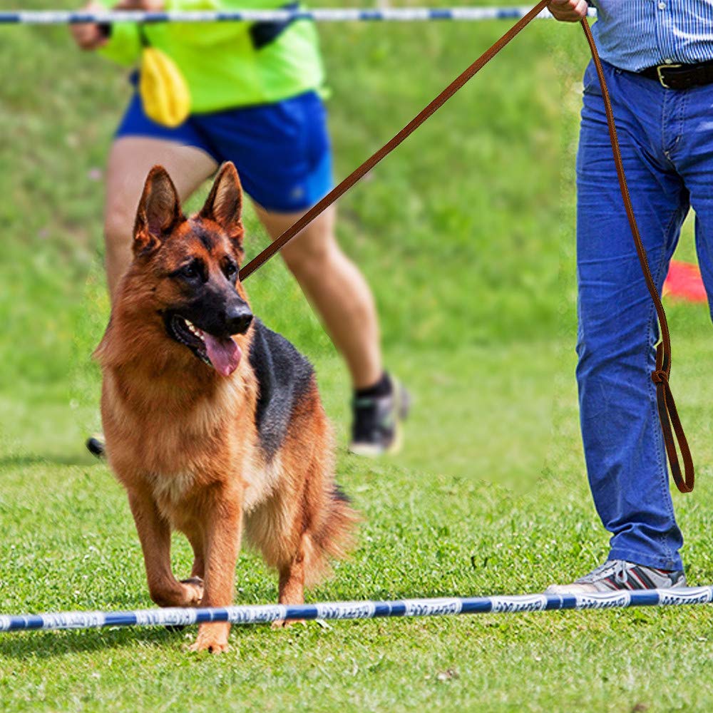 SOCHII Correa de cuero para perro para entrenamiento de mascotas, correa para correr para perros medianos y grandes, pastor alemán K9, 1,5 m/2,5 m de largo, marrón, 1,5 m