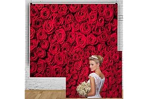 Valentine Backdrop 10x10: Capture Romantic Moments