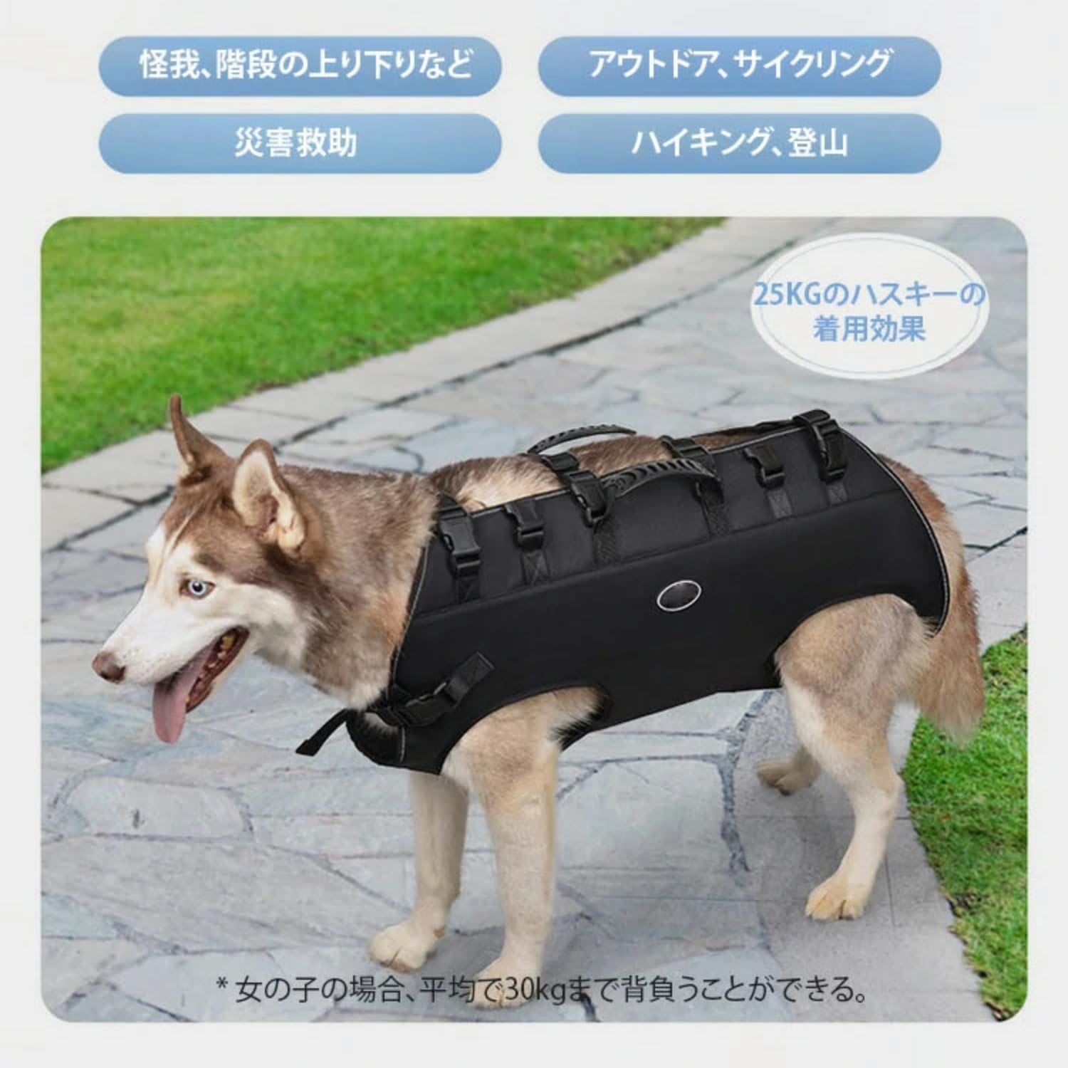 Amazon | GIIPET－犬用リフトハーネス 負担が少ない全身 横型全身犬用