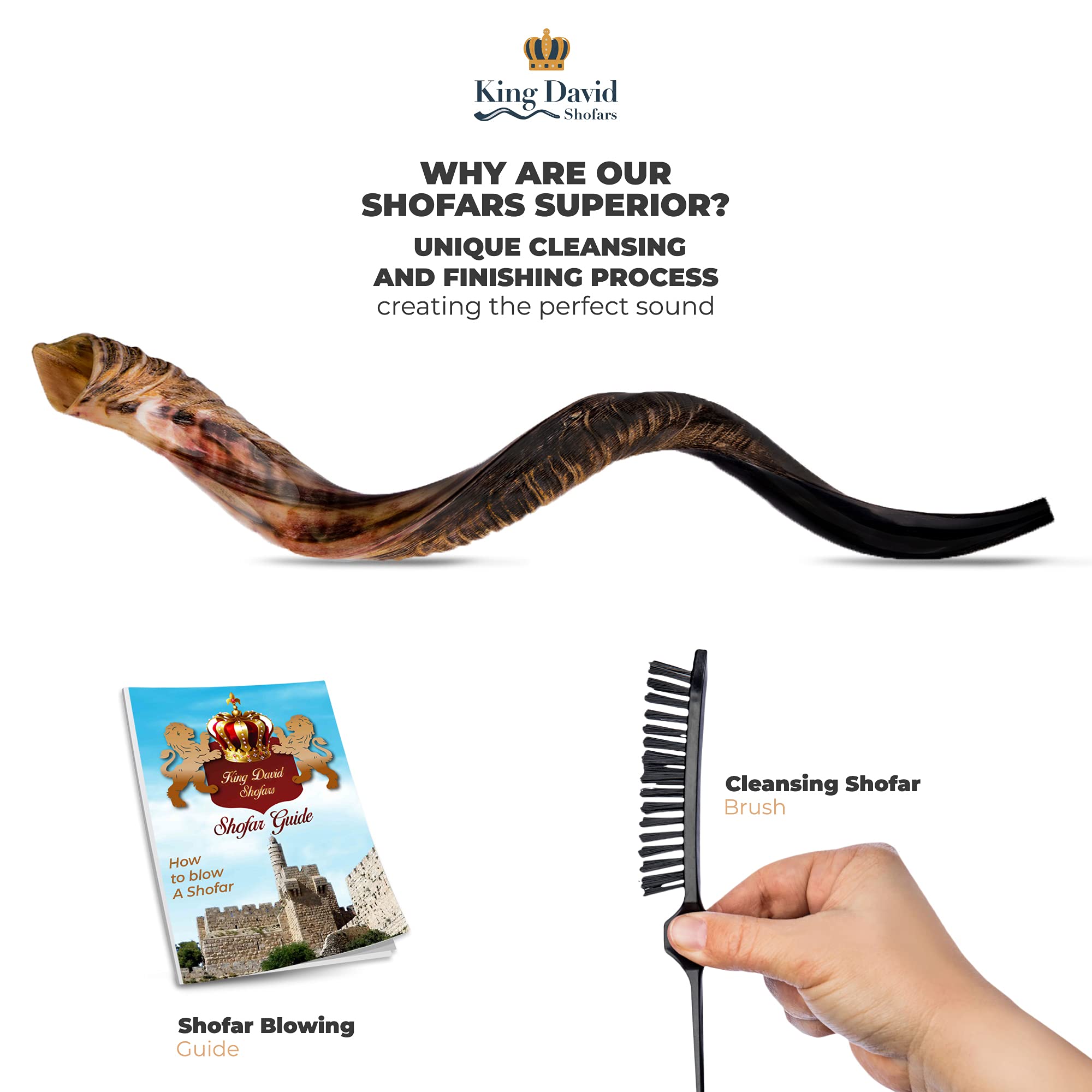 Shofar Horn Instrument Shofar Angels Musical Instrument Horn Gift