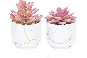 CEWOR Artificial Succulents in Ceramic Pots for Desk Home Decoration