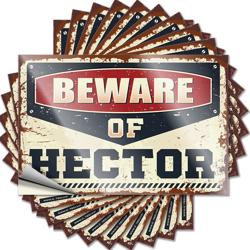 Beware of Hector Encouragement Cottage Core Decorations - Sticker Tumbler Removable Vinyl Decal(12X18CM)