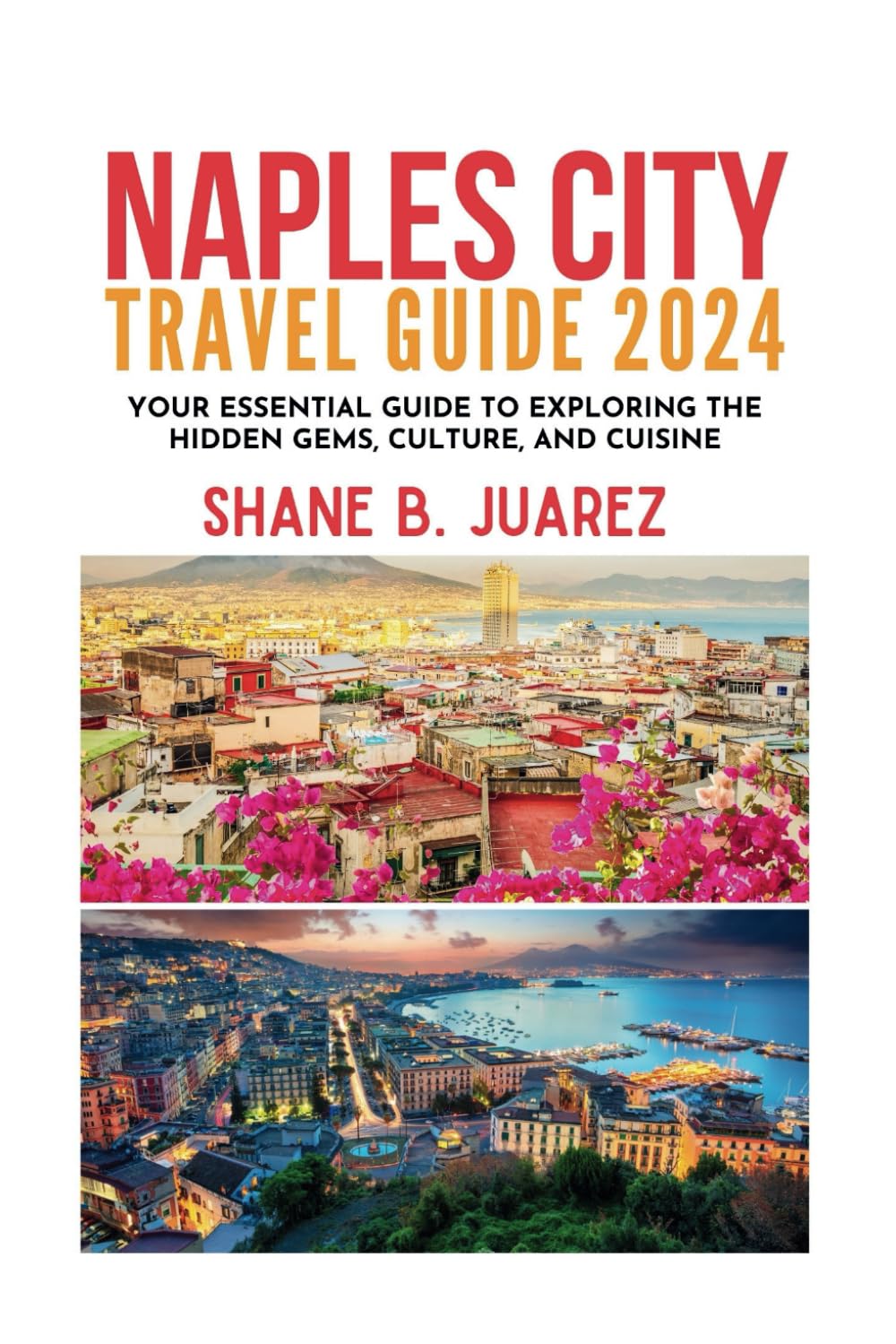 NAPLES CITY TRAVEL GUIDE 2024 (Travel Guides)