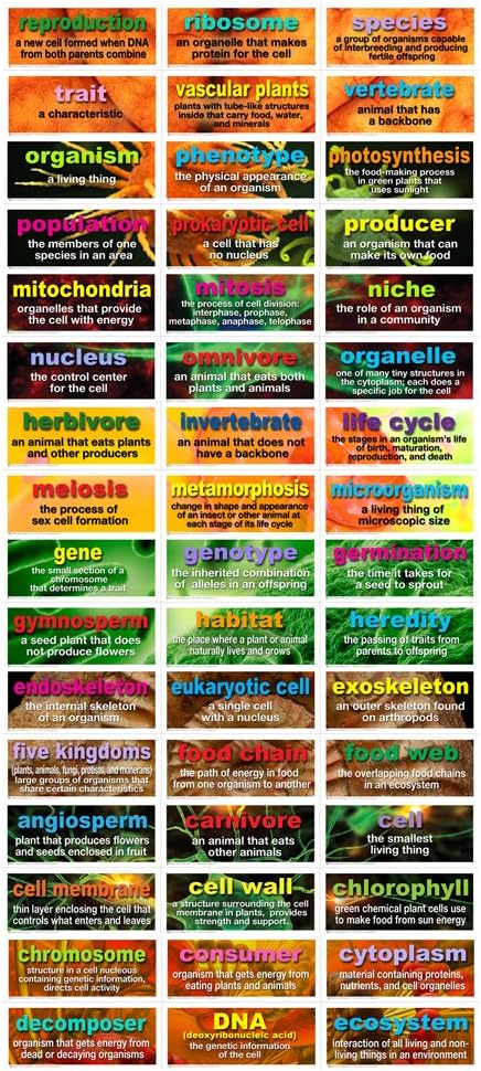 48 Life Science Testing Words Bulletin Board Set