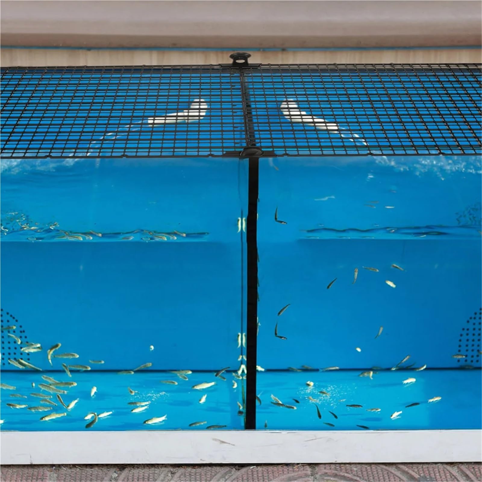 Divisores para Acuario 4 Piezas de Tablero de Aislamiento for pecera, Rejilla Inferior for Acuario, Red de Pesca, Divisor de Pantalla