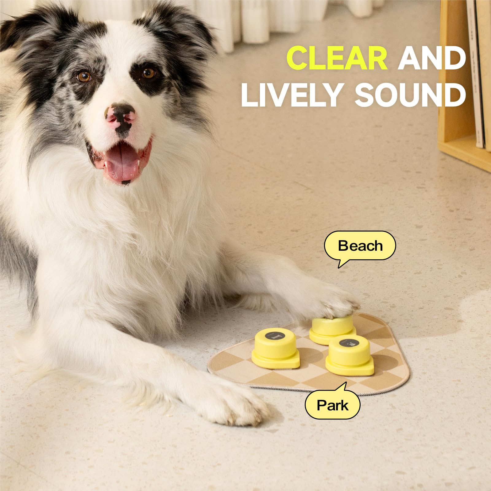 Amazon | MEWOOFUN 犬用 録音ボタン 3個入り 黄色い ミニサイズ 小型犬