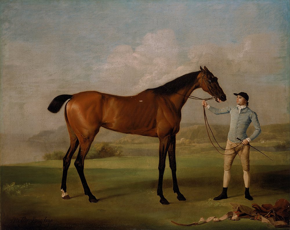 Lámina enmarcada Molly Long-Legs de George Stubbs, tamaño mediano mate