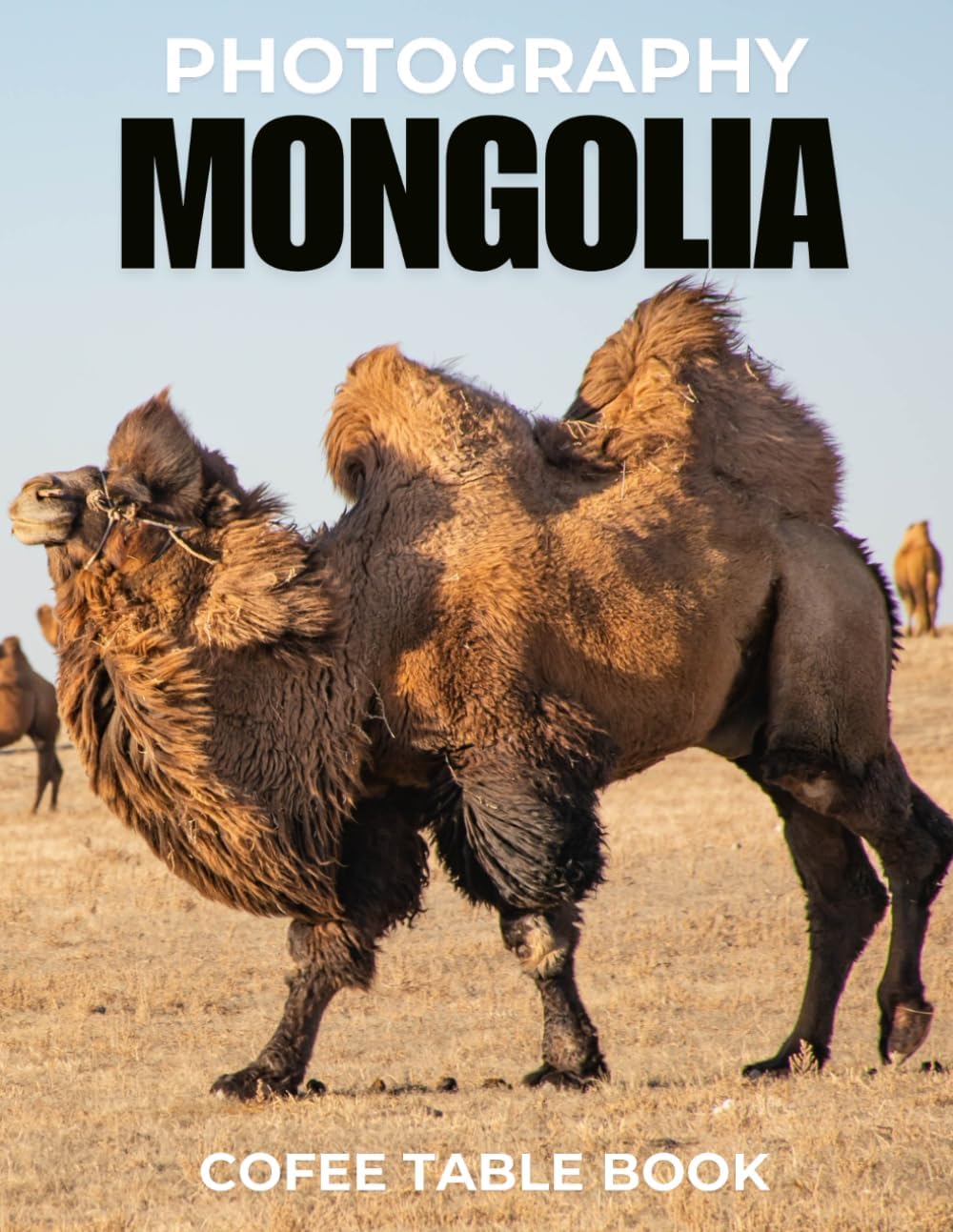 MONGOLIA PHOTOGRAPHY COFEE TABLE BOOK: 40 wonderful collection of photos and amazing views which take you to a world of beauty and wonder in Mongolia country.