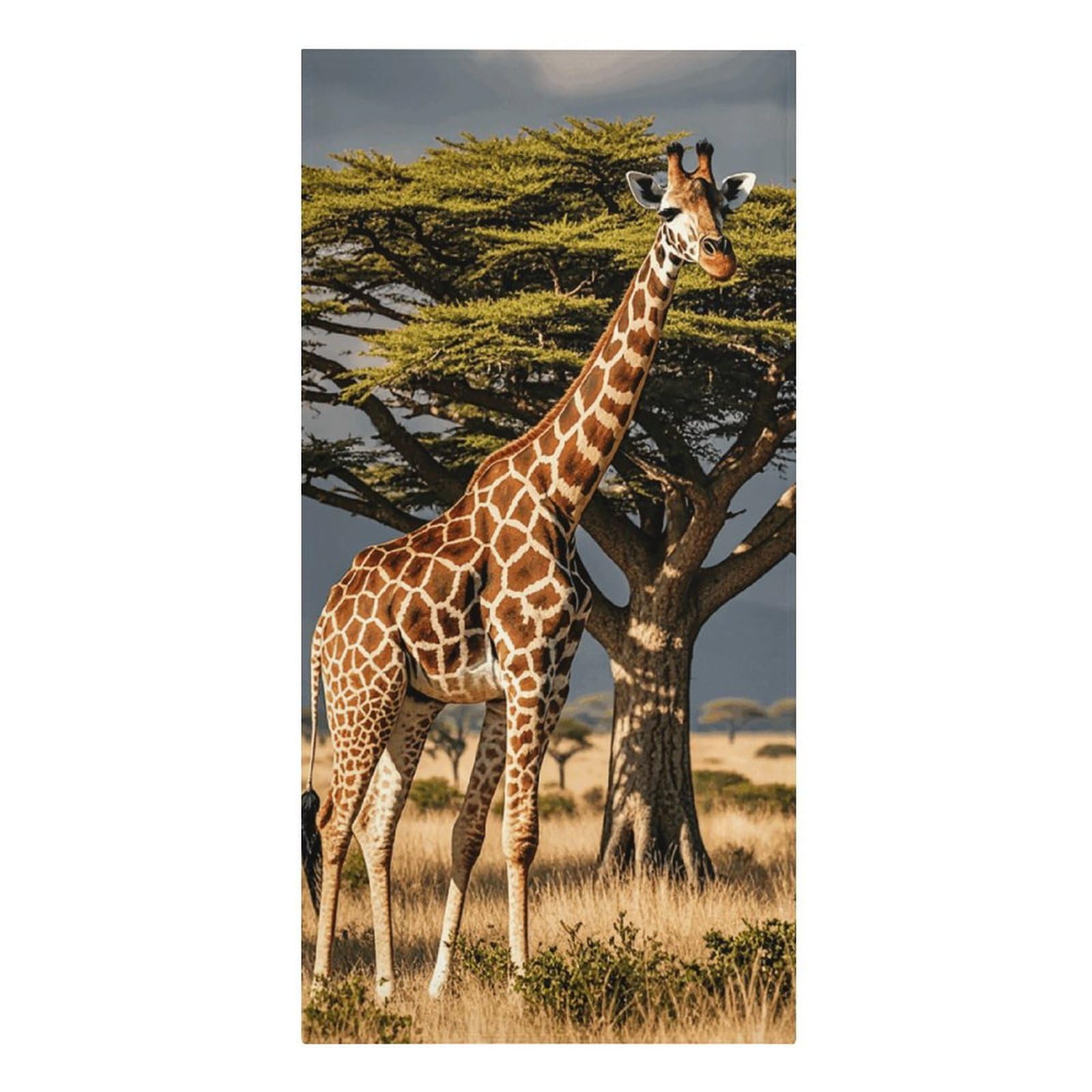 QMNLKH Africa Giraffe Majestic Tree Beach Towel for Women, Large Microfiber Pool Towel for Men, Absorbent Swim Towels for Home, Lightweight Bath Towels for Camping, Yoga, 30.3"x61.4"