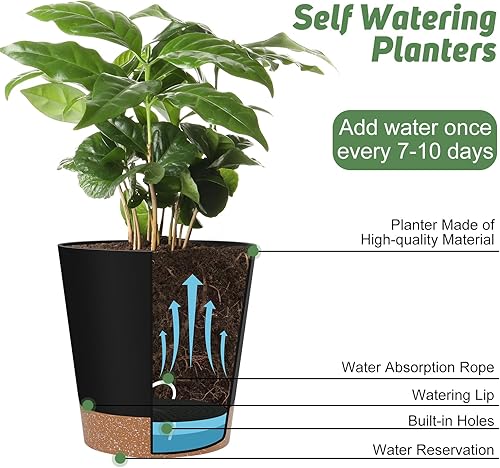 Miniatura 5 de Macetas de riego automático para interiores con agujeros de drenaje y platillos, 8, 7, 6.5, 6, 5.5, 5 pulgadas, color negro, 6 macetas