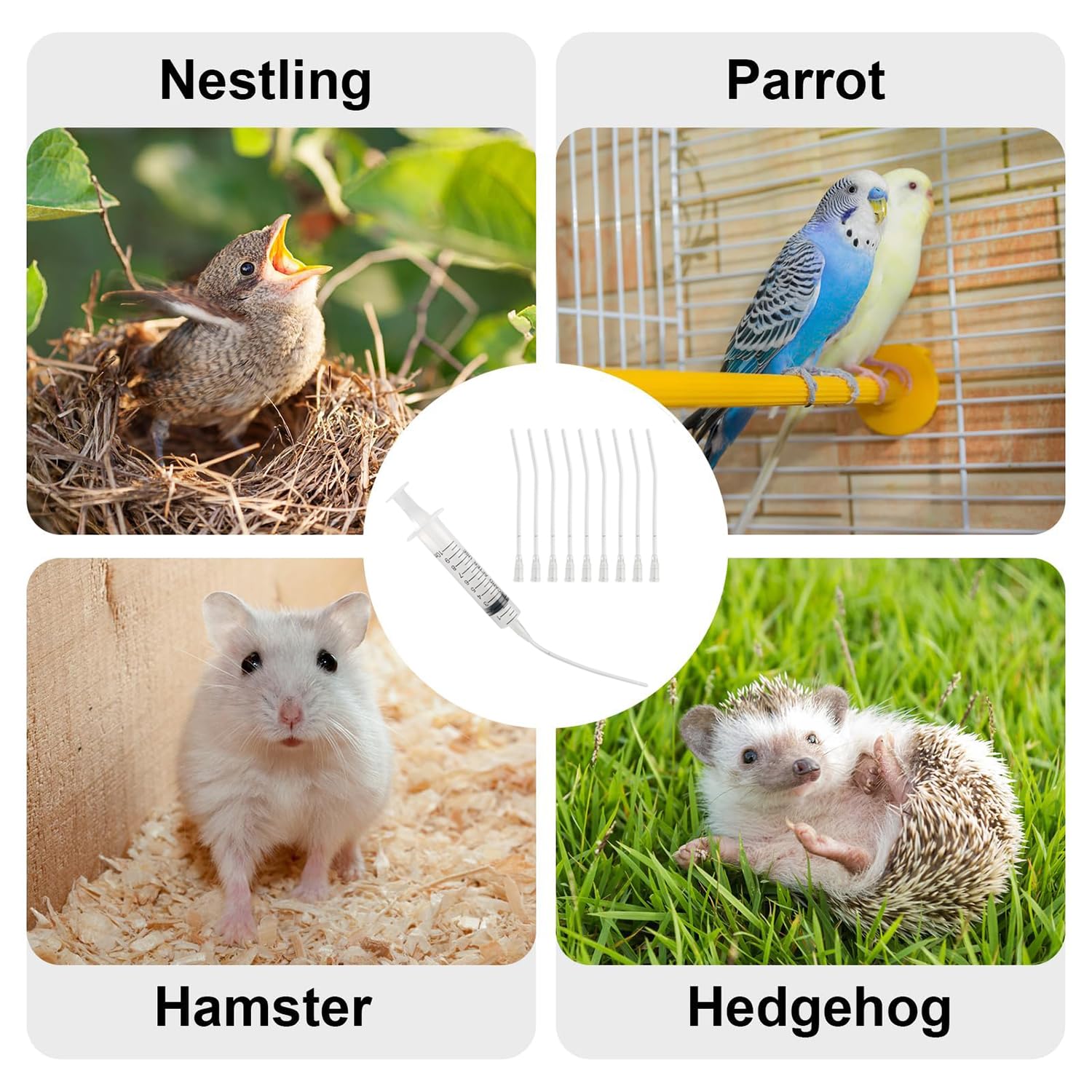 Alimentatore Pappagalli,10 ml Siringhe per L'alimentazione degli Uccellini con 10 Tubi,Strumento per L'alimentazione Manuale di Pappagalli,Piccioni,Passeri e Piccoli Animali,Mangiatoia