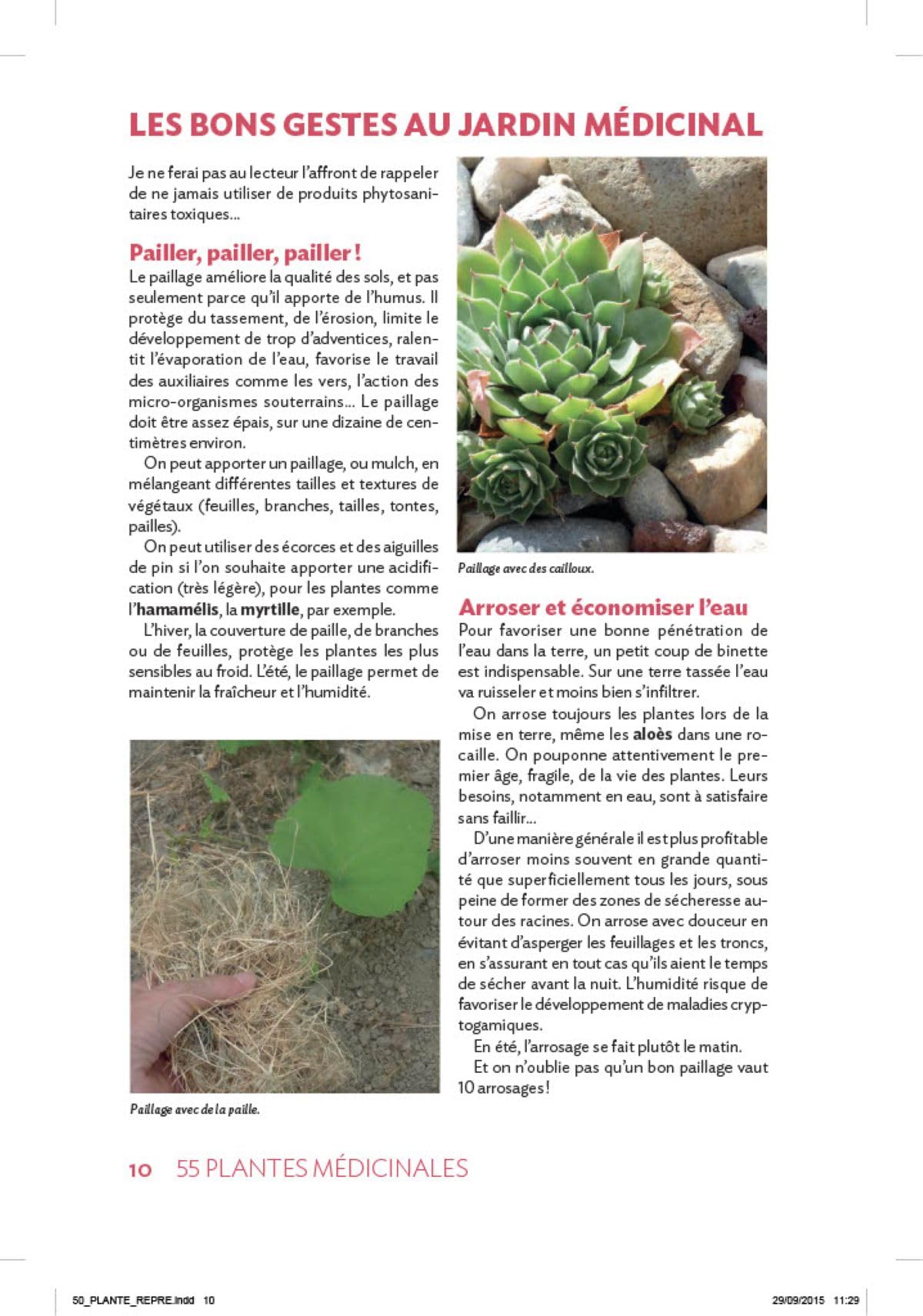 55 plantes médicinales dans mon jardin: Les cultiver, les récolter, les conserver