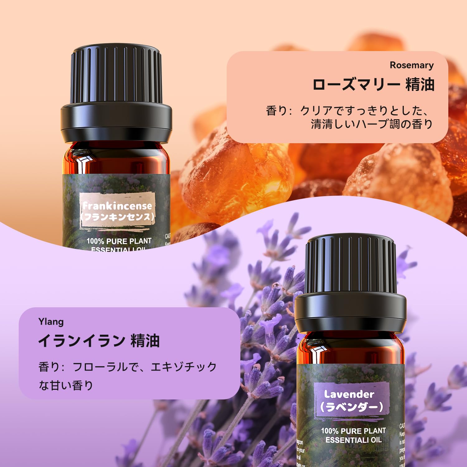 Amazon.co.jp: アロマオイル 6種セット ナチュラル 精油