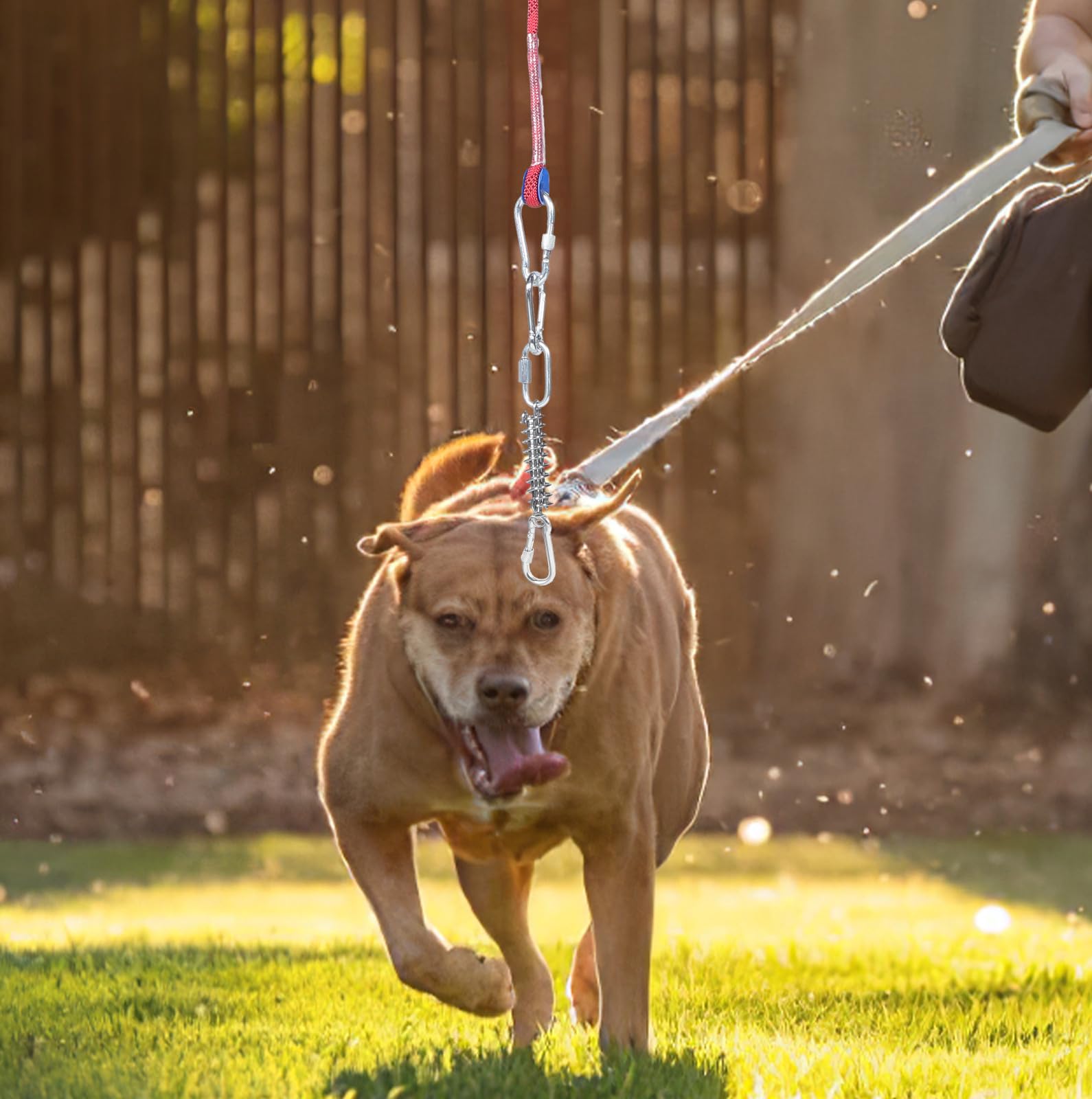 GANAZONO Cuerda para Atar Perros Resorte de Acero Inoxidable, 1 Juego | Algodón, Reutilizable y Resistente Deformación, para Parques y Vacaciones