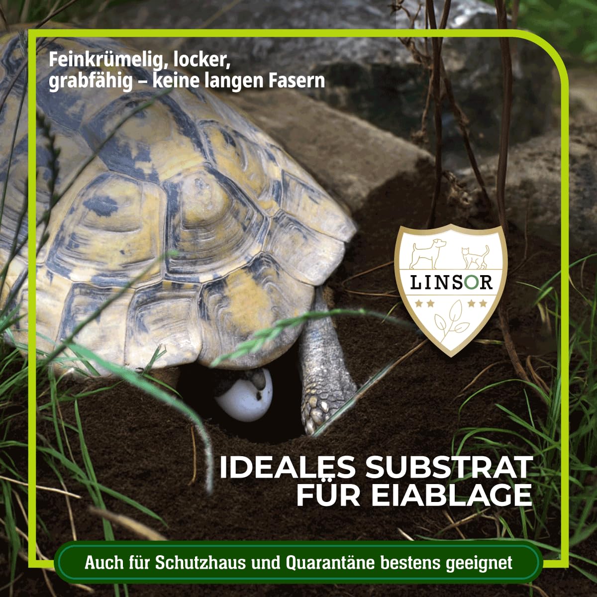 Substrat pour tortues 50 L – terre naturelle pour tortues sans engrais, à grain fin et creusable pour tortues terrestres comme terre avec structure naturelle