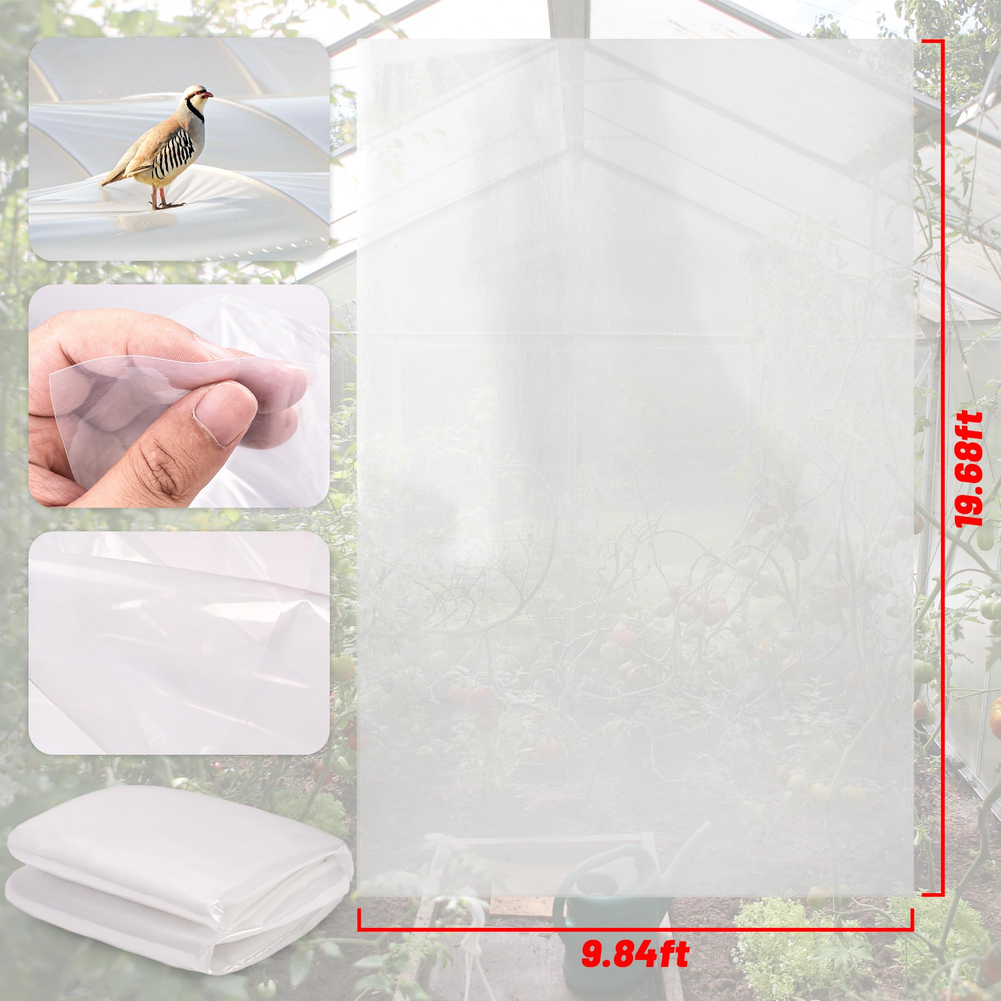 Lámina de plástico transparente de 6 mil, película de plástico transparente para invernadero, película de polietileno resistente a los rayos UV para granja, jardín (10 x 10 pies)