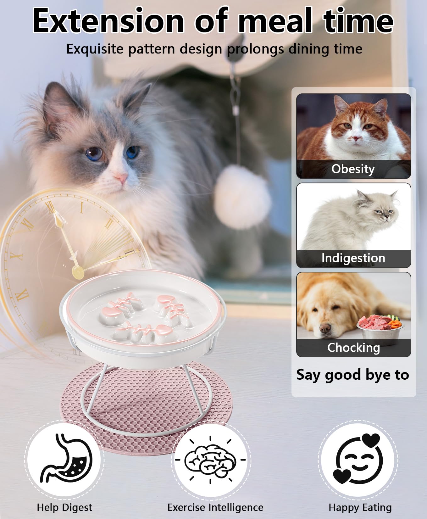Upgrade WhiskerFatigueFree Cat Slow Feeder Bowl