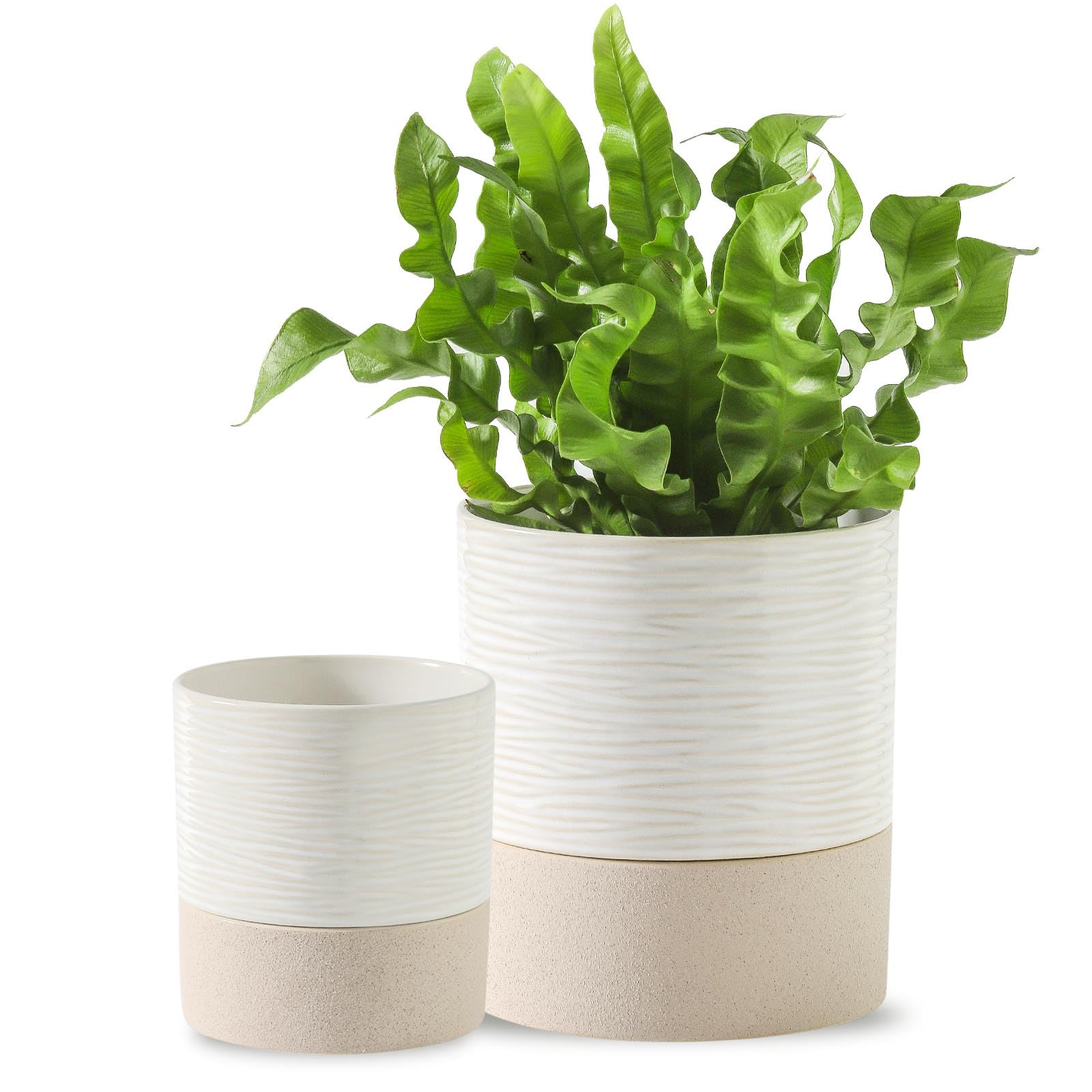 Nihow Selbstbewässernder Blumentopf für Zimmerpflanzen: 11,4 cm + 15,2 cm Keramik-Pflanzgefäß mit Ablaufloch & Wasserspeicher Plus – Zylinder-Blumentopf mit Docht für Kräuter – Weiß & Braun