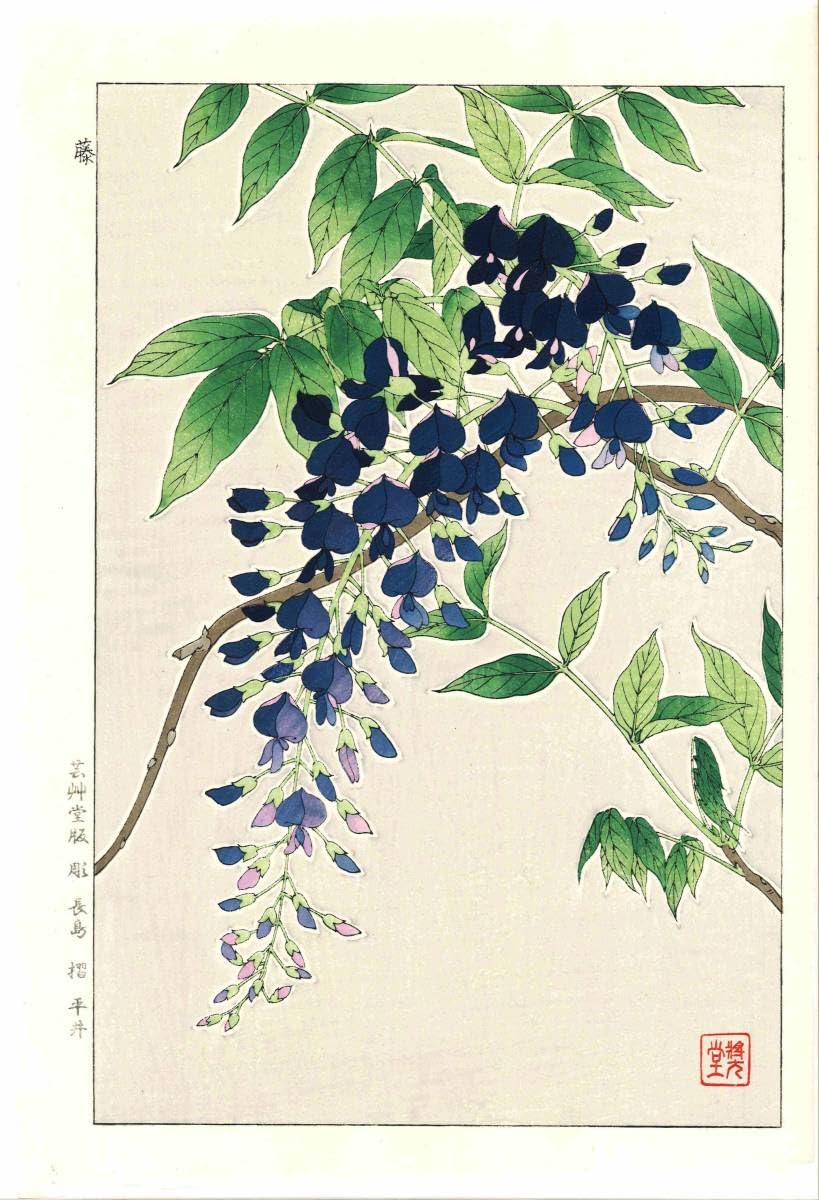 【版画】河原崎奨堂　木版画　竹　牡丹 Amazon.co.jp: 木版画 河原崎奨堂葉牡丹芸艸堂版 大判 彫長島 摺