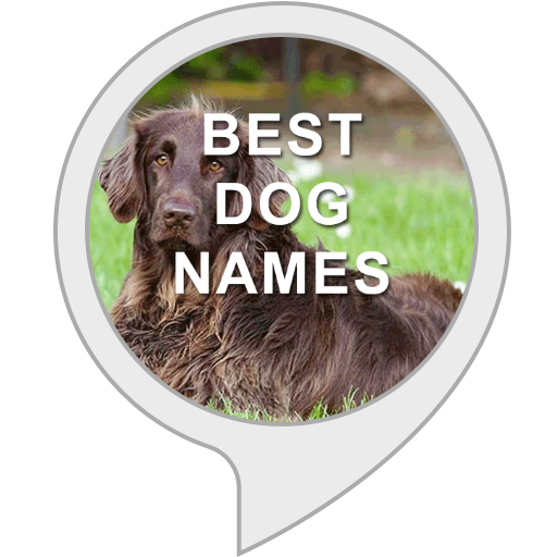 Amazon.in Best Dog Names Alexa Skills