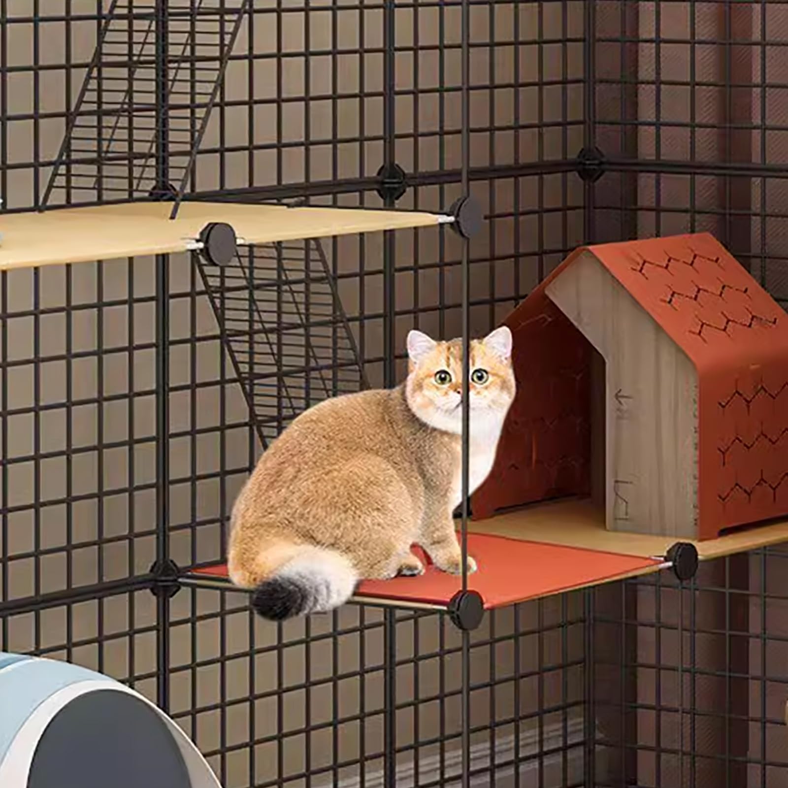 Gabbia per Gatti Grande, Gabbie per Gatti da Interno, recinti per Gatti Fai-da-Te da Interno, Cuccia Staccabile in Filo Metallico, Recinzione per Gatti Fai-da-Te, Spazio Super Ampio, con por
