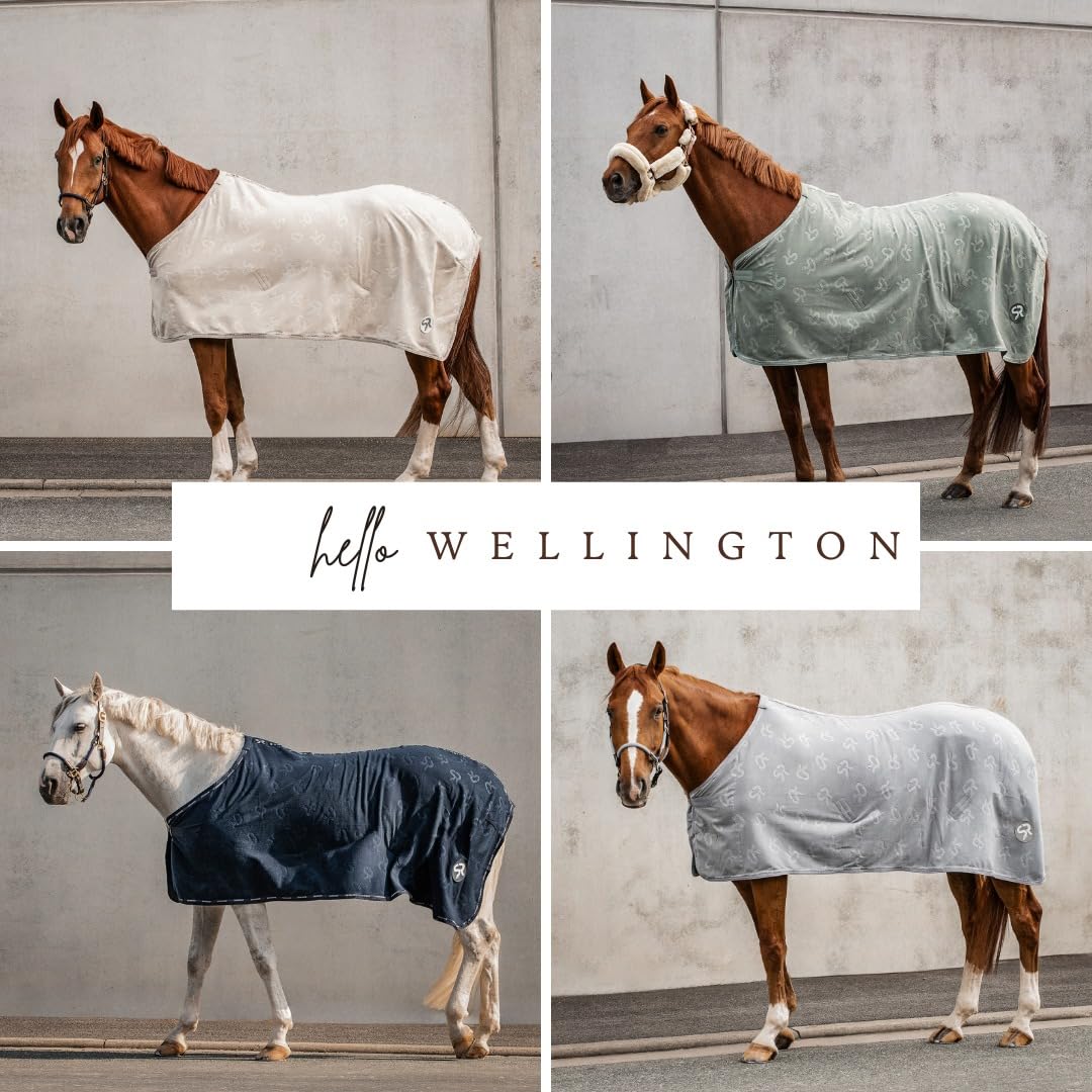 SUNRIDE Abschwitzdecke “Wellington” für Pferde aus weichem Fleece (280g/m²) - schnelltrocknend und leicht (165 cm, Olive)