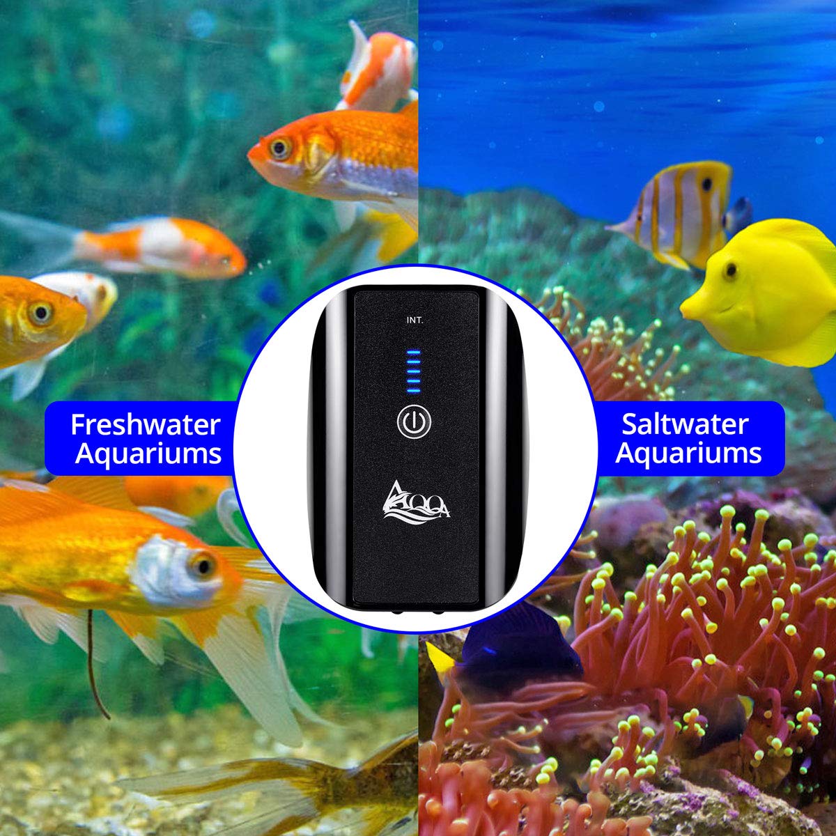 AQQA Pompe à air pour aquarium, pompe à oxygène rechargeable à piles | Aquariums d'eau douce et salée avec pierre à air, tubes, câble USB et adaptateur (2,5 W pour réservoir de 1 à 140 galles)