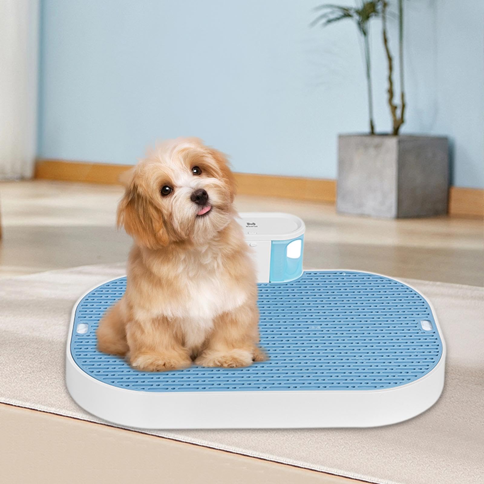 Amazon | スマート ドッグ 犬用トイレ 自動おしっこ収集 子犬
