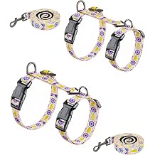 Halypet 2-Pack Cat Harness and Leash Set, Escape Proof 3-in-1 Adjustable Harness for Cats, Soft Lightweight, Easy On & Control for Walking, Travel & Outdoor Use, Pastel Floral, Medium