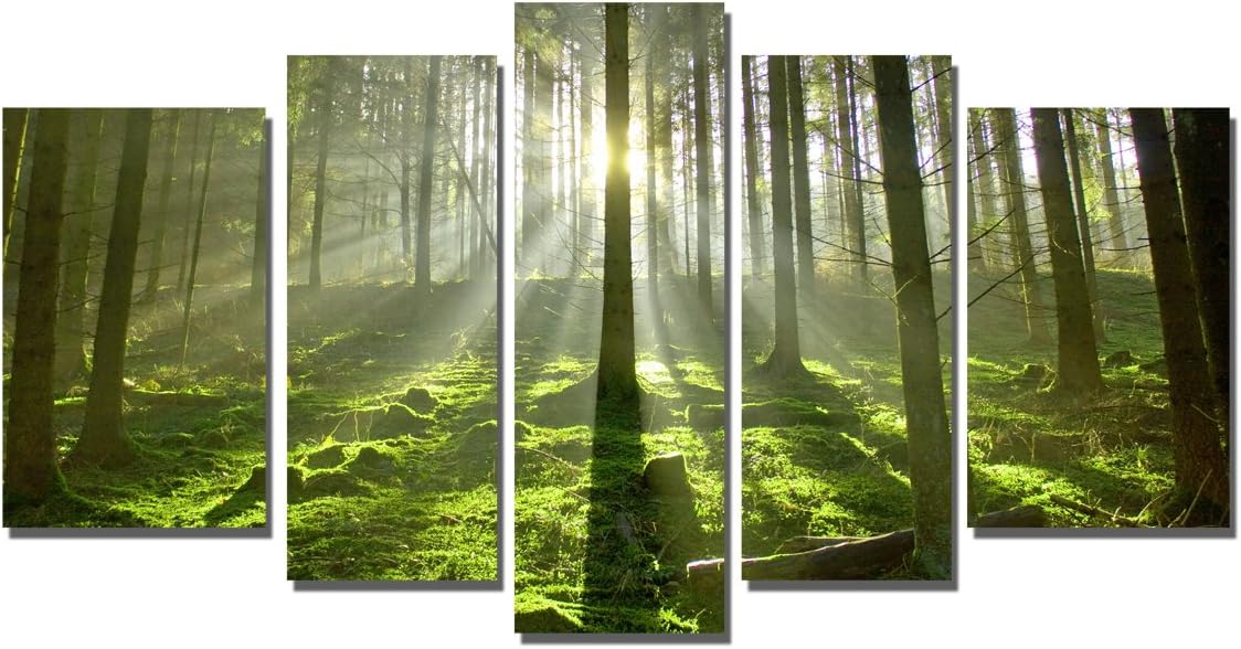 Boqi Art 5 Piece Morning Sunshine in Forest Canvas Prints Framed Hanging Wall Art for Home Decoration