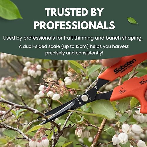 Miniatura 5 de Saboten Japan - Tijeras automáticas japonesas de 6.3 pulgadas, hoja en ángulo de punta fina, acción magnética sin resorte, acero inoxidable con