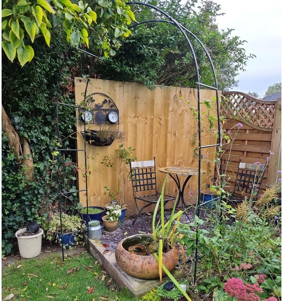 木枠 武蔵小山店】 塩川光明堂 カルトーネ AL-B DB ガラスケース